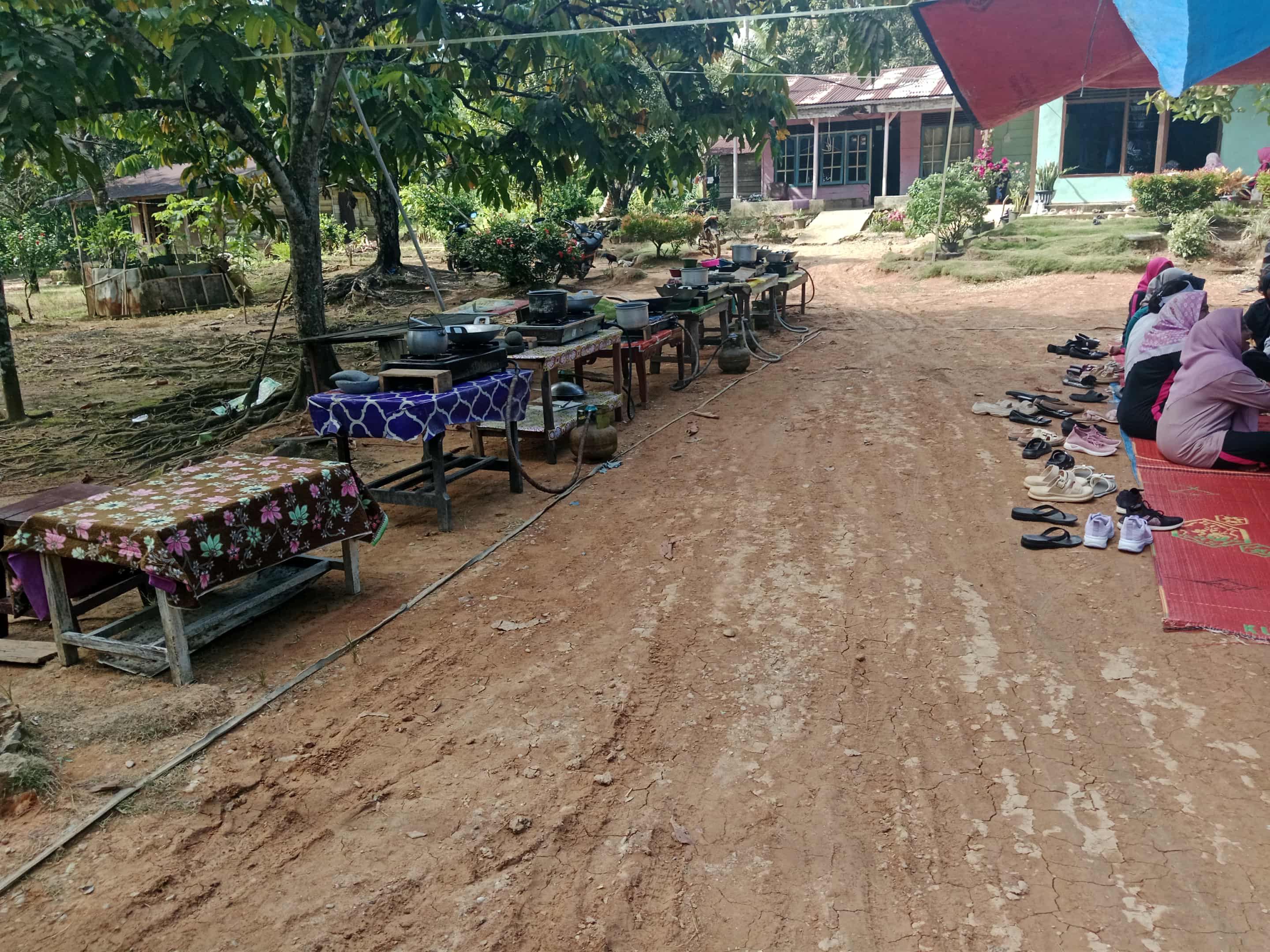 Sosialisasi pengolahan Anyang pakis